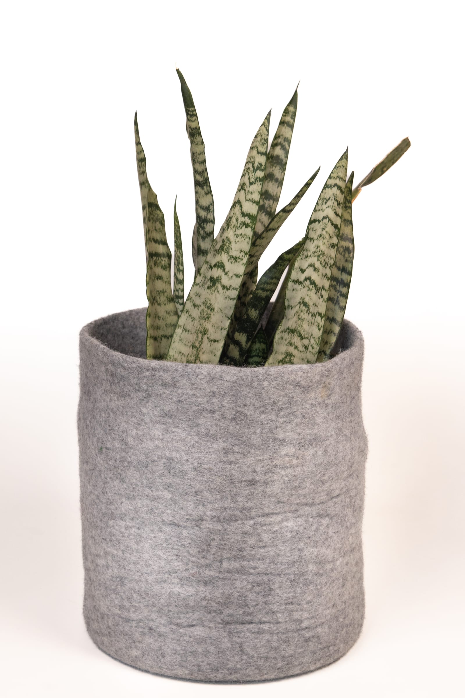 Felt Craft Insights 8